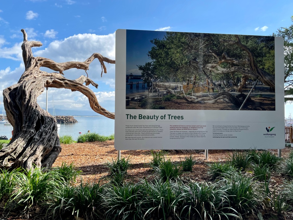A damaged Coastal Tea Tree next to a sign with an earlier picture of the trees, with a title that reads: 'The Beauty of Trees'